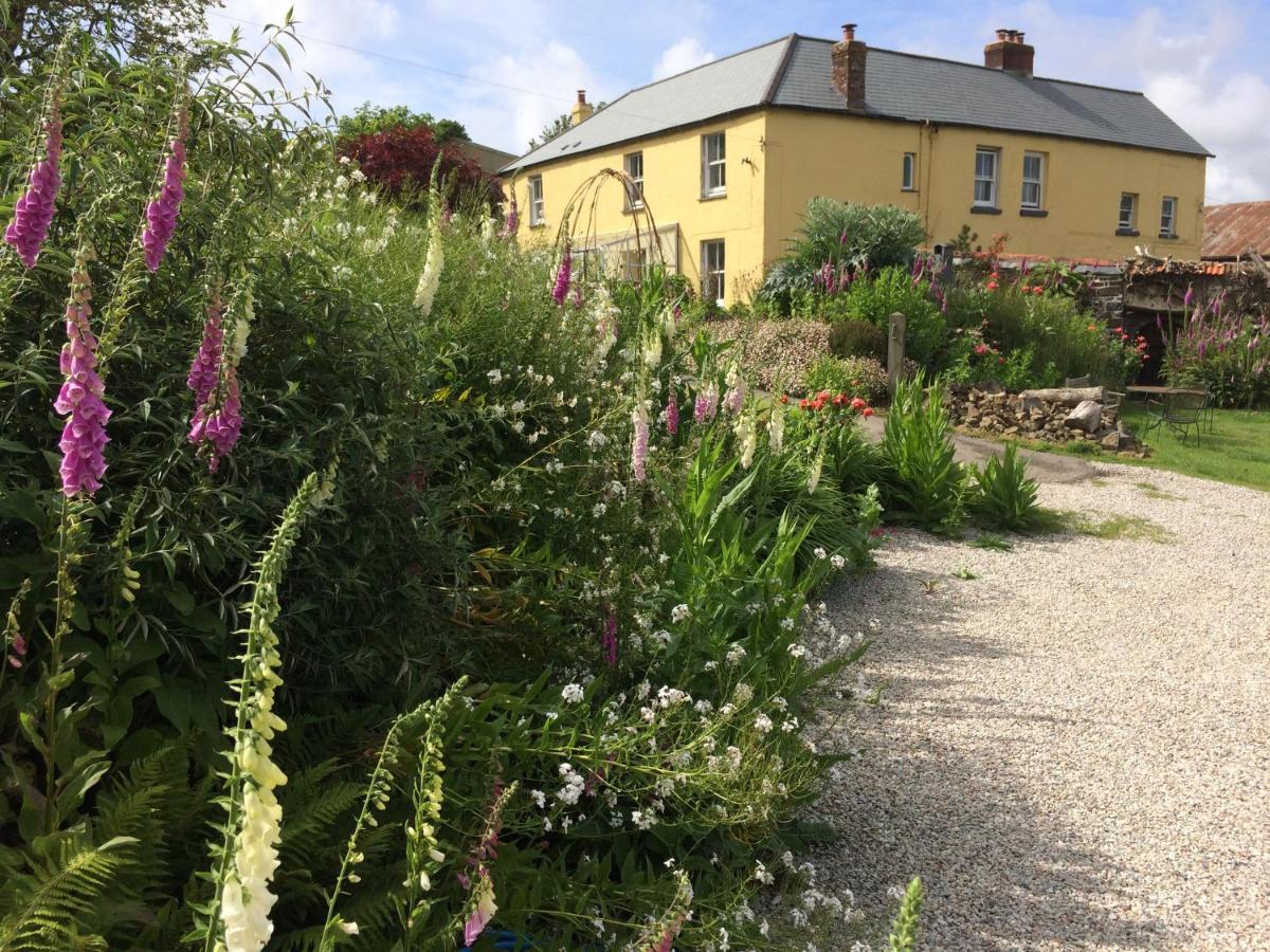 Frizenham Farmhouse Little Torrington Exterior foto